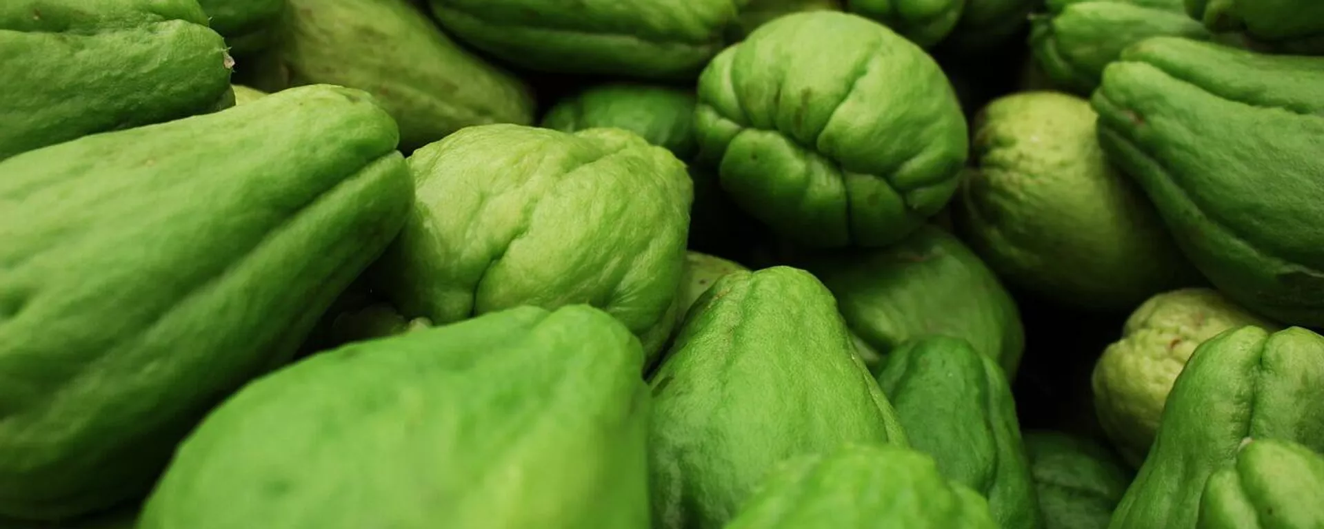 El chayote es un fruto rico en nutrientes El chayote es un fruto rico en nutrientes - Sputnik Mundo, 1920, 23.12.2021