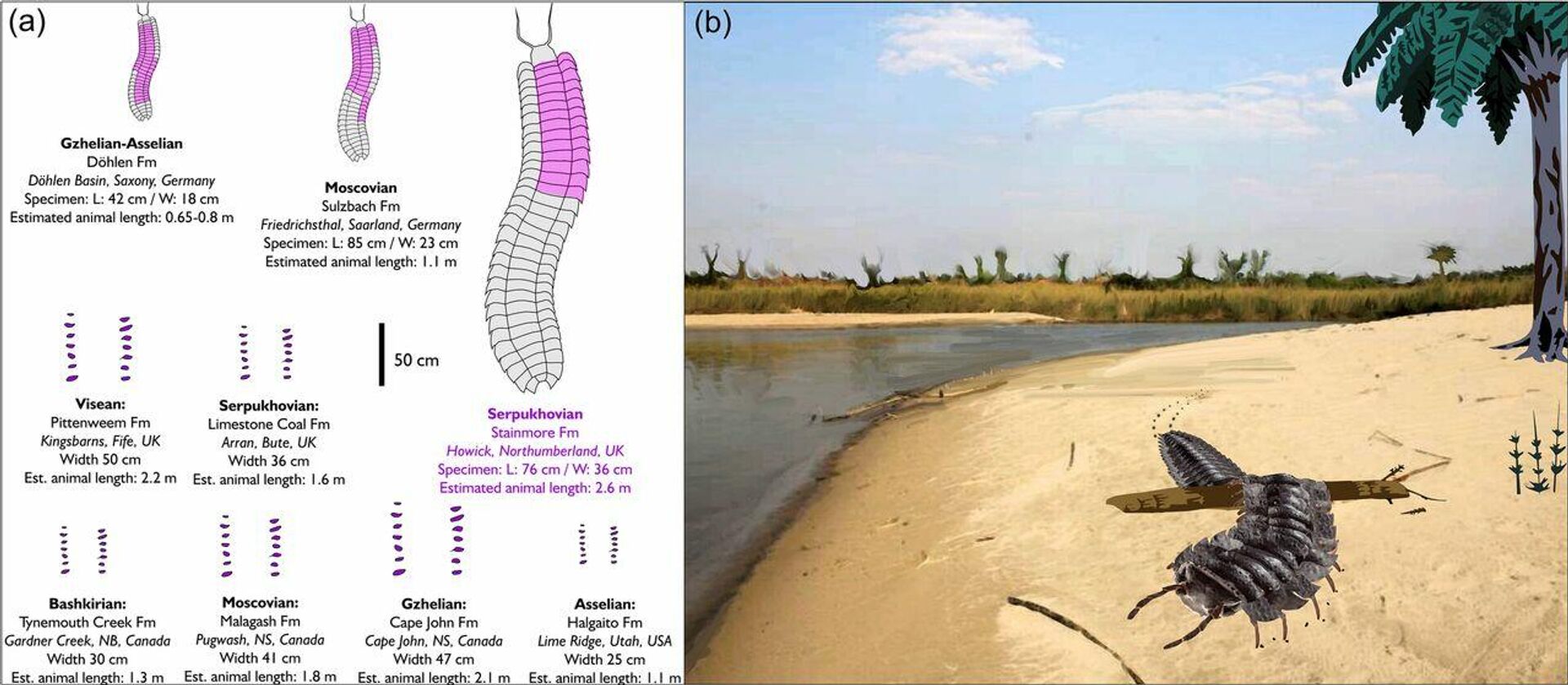 'Arthropleura', imagen ilustrativa - Sputnik Mundo, 1920, 24.12.2021