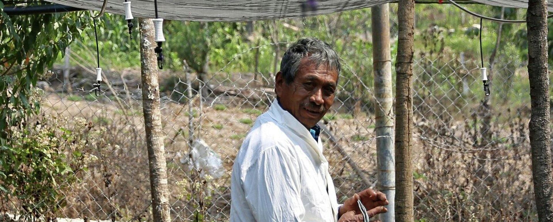 Beneficiario del programa Sembrando vida en el estado de Guerrero. - Sputnik Mundo, 1920, 27.12.2021