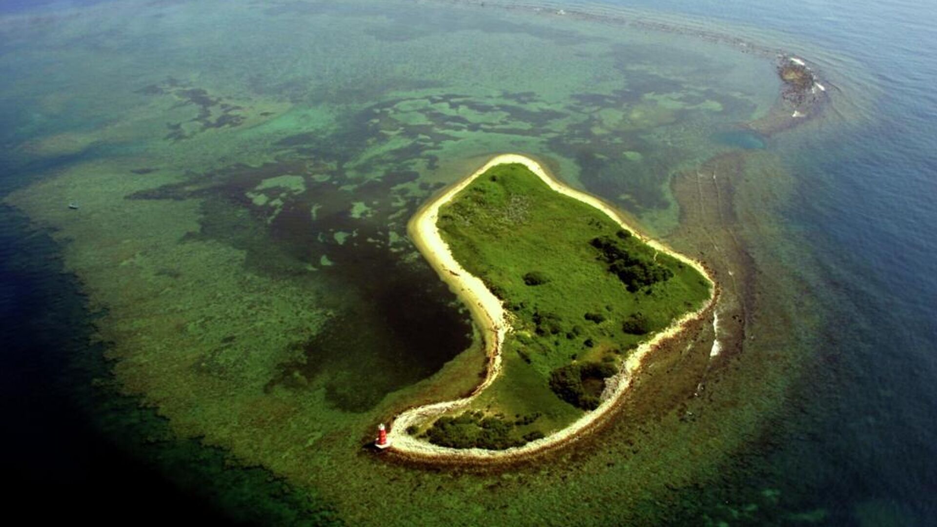 Sistema de Arrecifes Veracruzano de México, en peligro de desaparecer. Sistema de Arrecifes Veracruzano de México, en peligro de desaparecer. - Sputnik Mundo, 1920, 27.12.2021