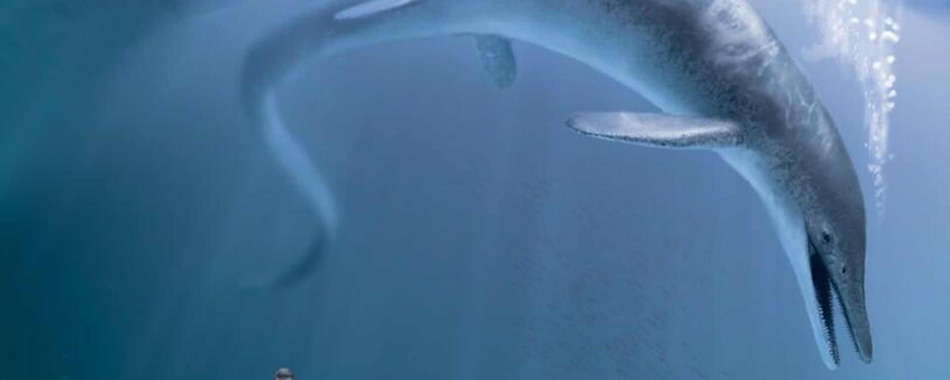 La primera criatura gigante de la Tierra. La primera criatura gigante de la Tierra. - Sputnik Mundo, 1920, 28.12.2021