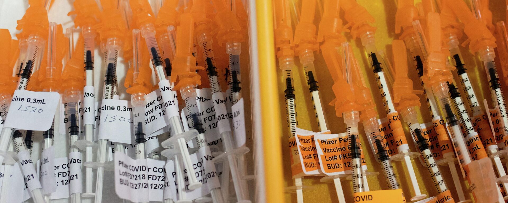 Vacunas anti-COVID de Pfizer - Sputnik Mundo, 1920, 21.01.2022