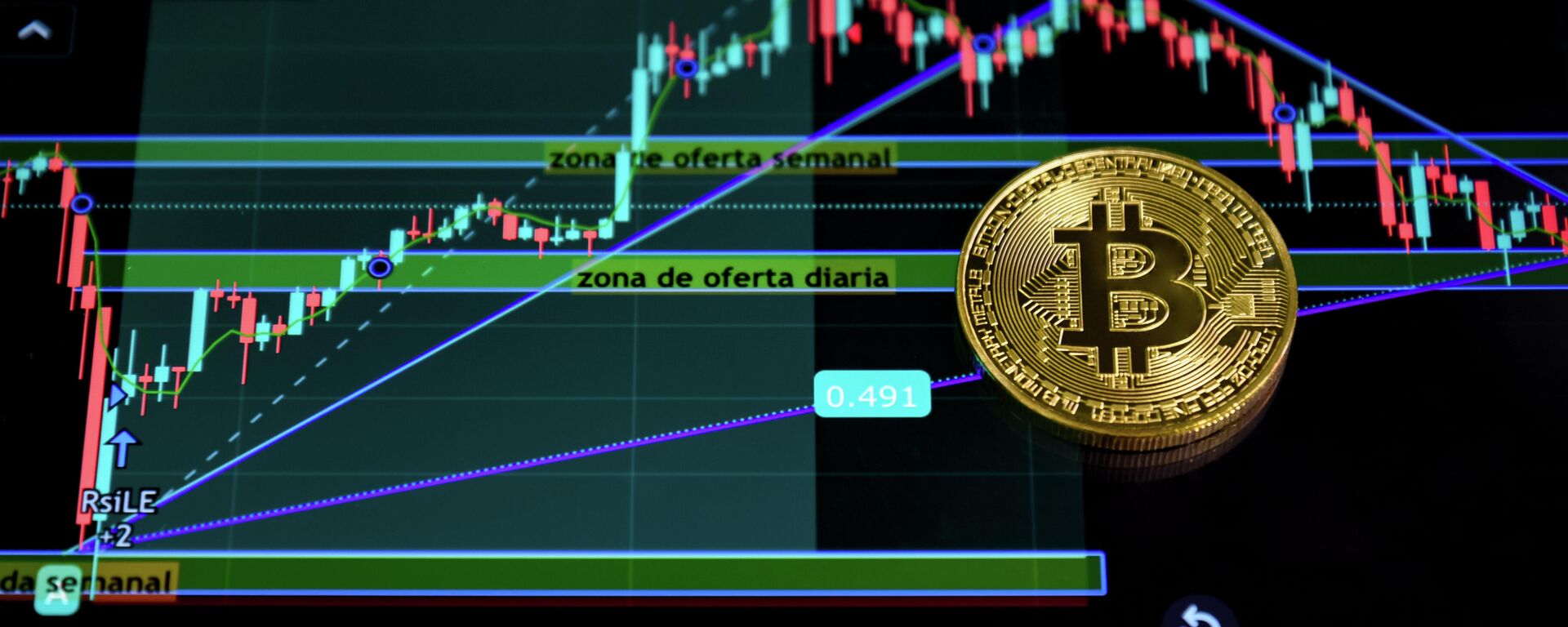 Panel de valores de una criptomoneda (referencial) - Sputnik Mundo, 1920, 01.02.2022