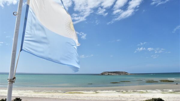  Isla de los Pájaros, Chubut, Argentina - Sputnik Mundo