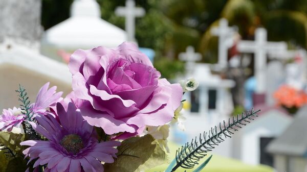 Cementerio (imagen referencial)  - Sputnik Mundo