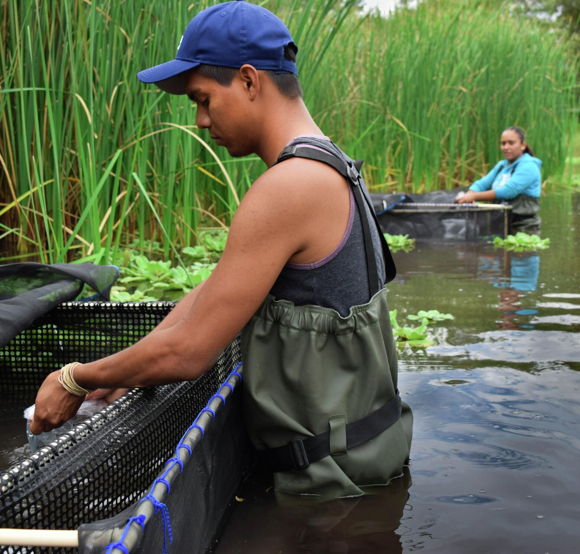 El pez tequila es retornado a su hábitat natural. El pez tequila es retornado a su hábitat natural. - Sputnik Mundo, 1920, 31.12.2021
