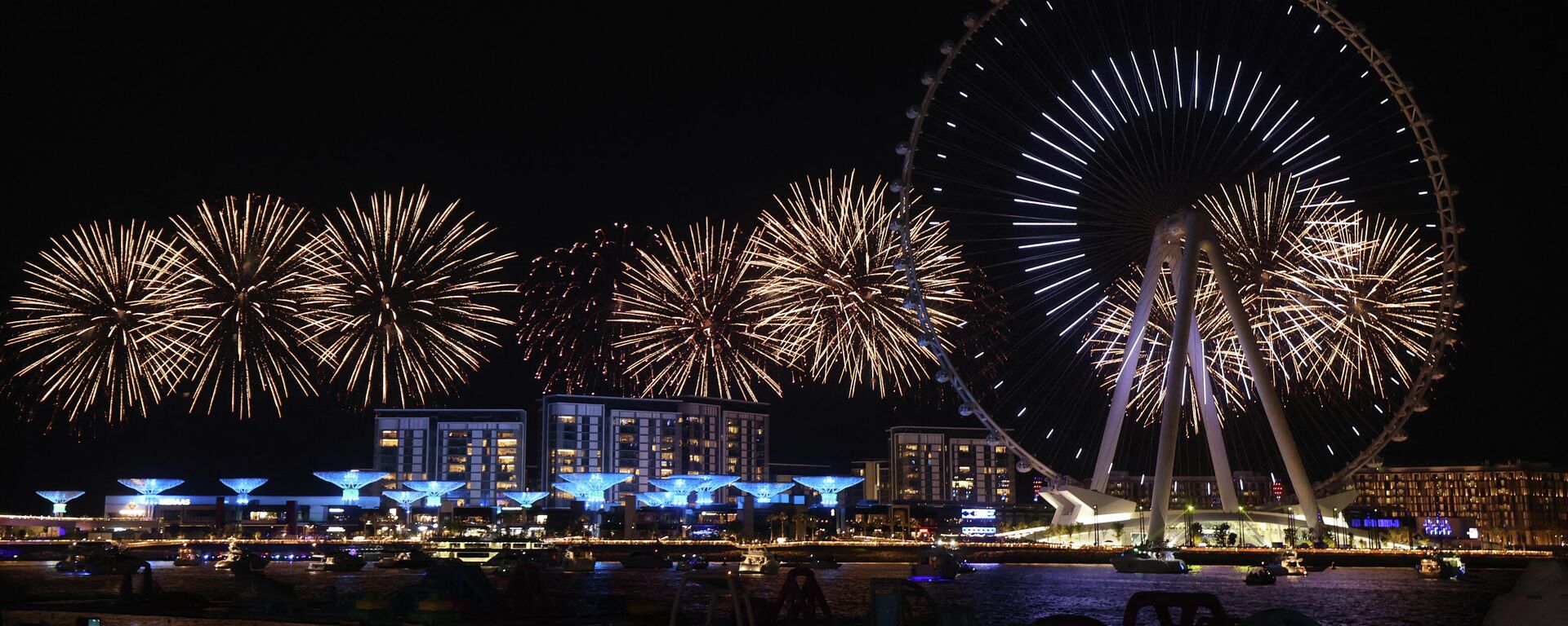 Fuegos artificiales en Dubái, Emiratos Árabes Unidos Fuegos artificiales en Dubái, Emiratos Árabes Unidos - Sputnik Mundo, 1920, 02.01.2022