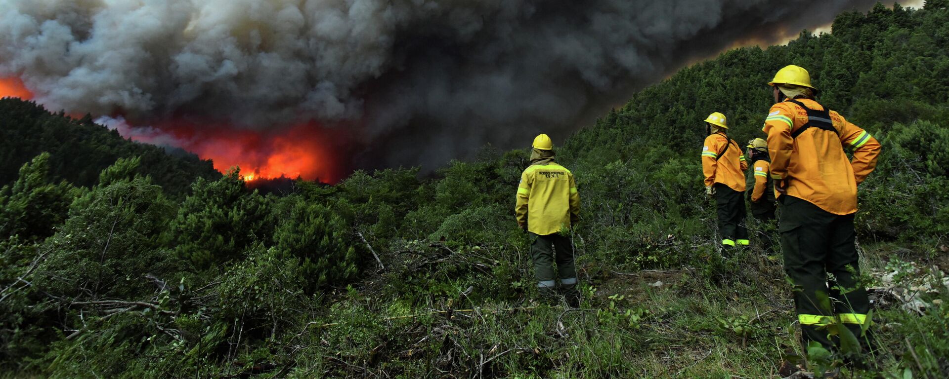 Incendios en Argentina - Sputnik Mundo, 1920, 03.01.2022