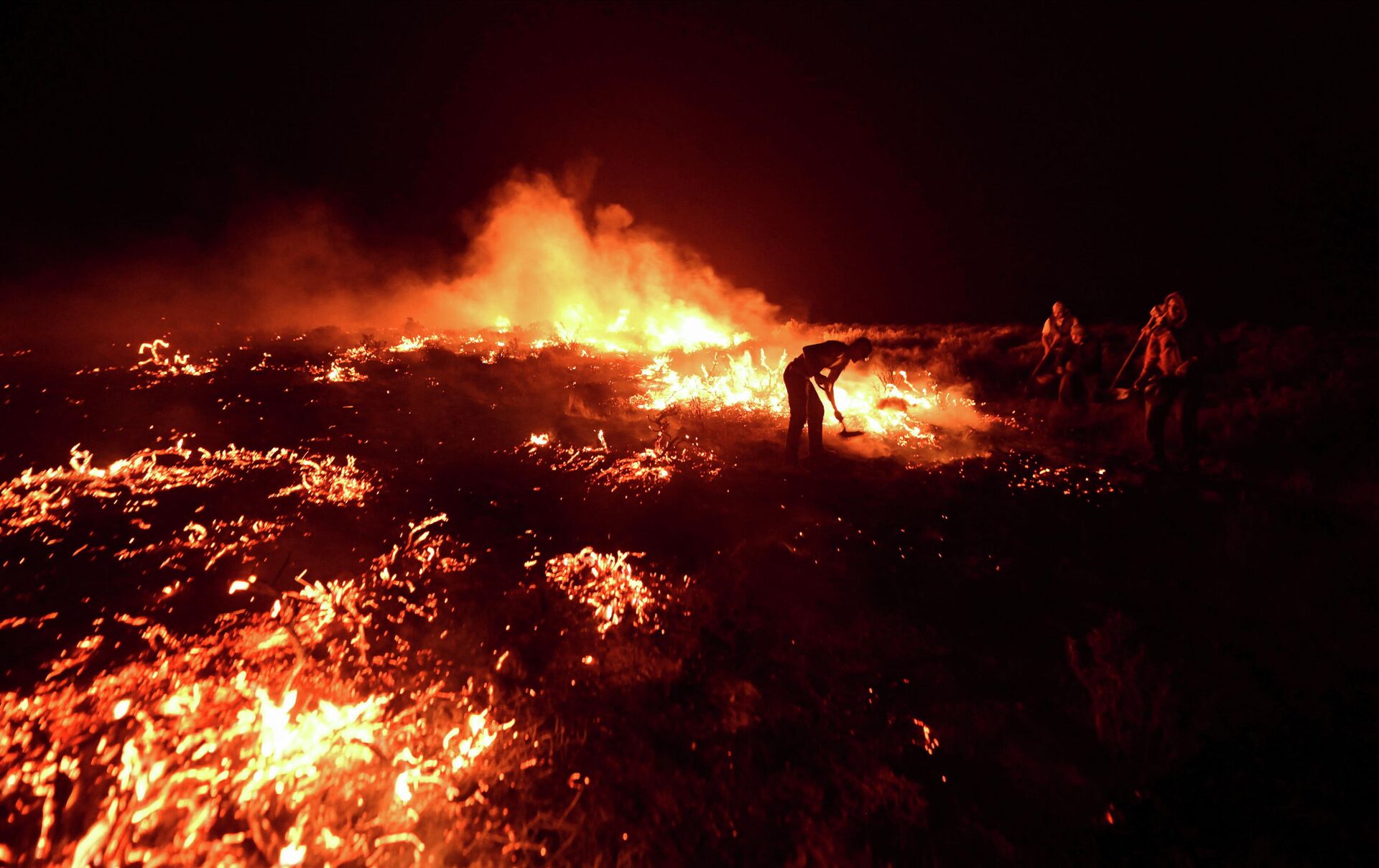 Un incendio en Patagonia costera argentina  - Sputnik Mundo, 1920, 04.01.2022