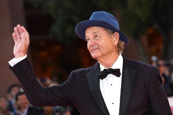 Bill Murray es un tigre extraordinario, apacible y prudente, y el protagonista de la conocida cinta El día de la marmota. - Sputnik Mundo