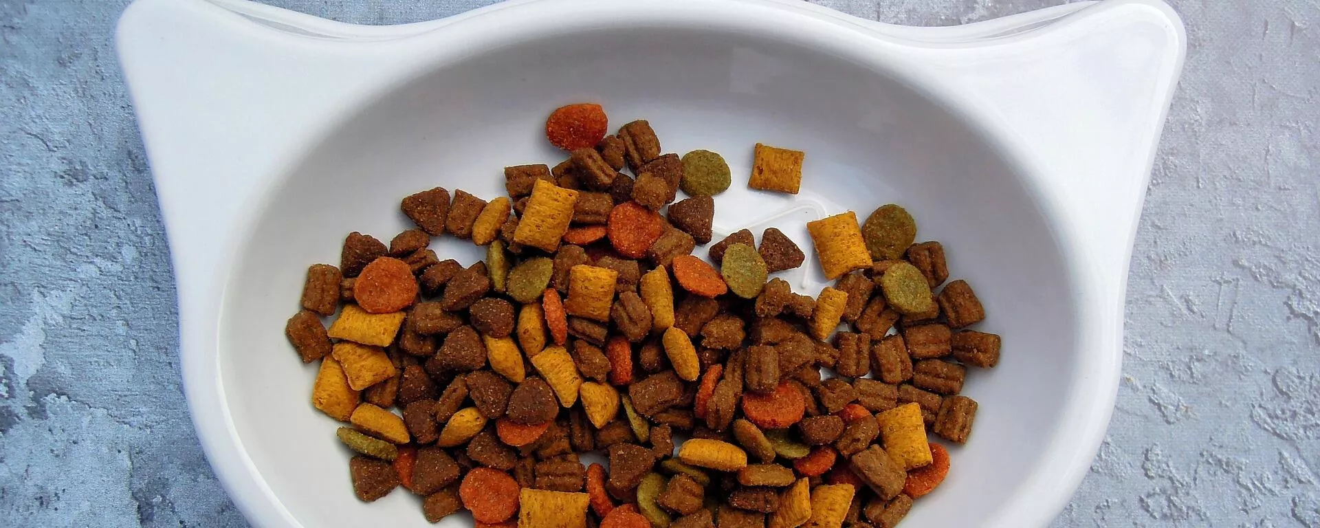 El tazón de comida de un gato El tazón de comida de un gato - Sputnik Mundo, 1920, 11.01.2022