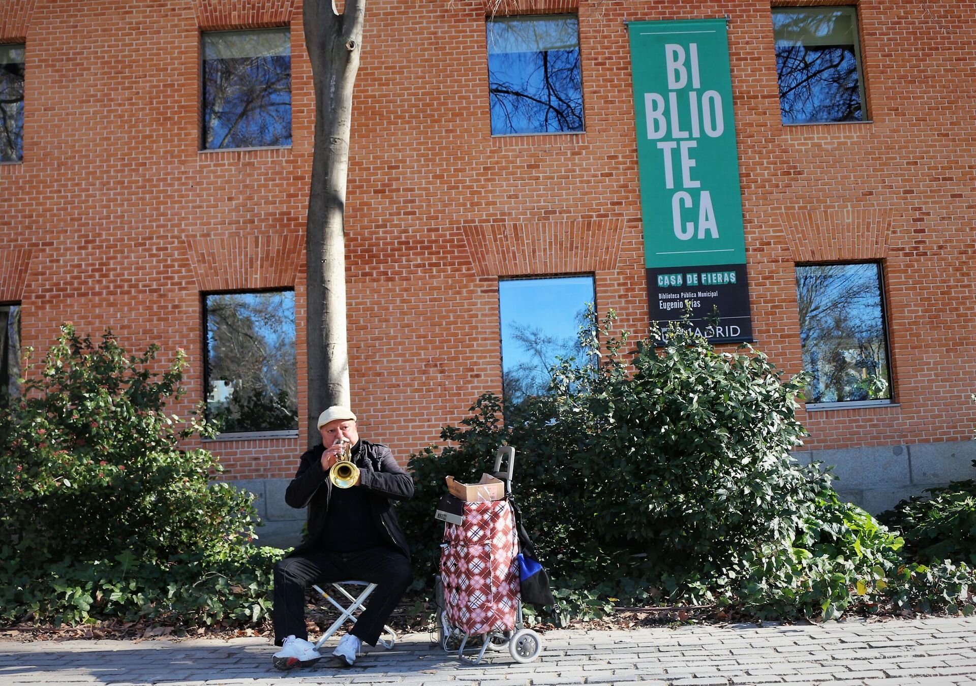 Miguel, trompetista en El Retiro, principal parque de Madrid - Sputnik Mundo, 1920, 14.01.2022