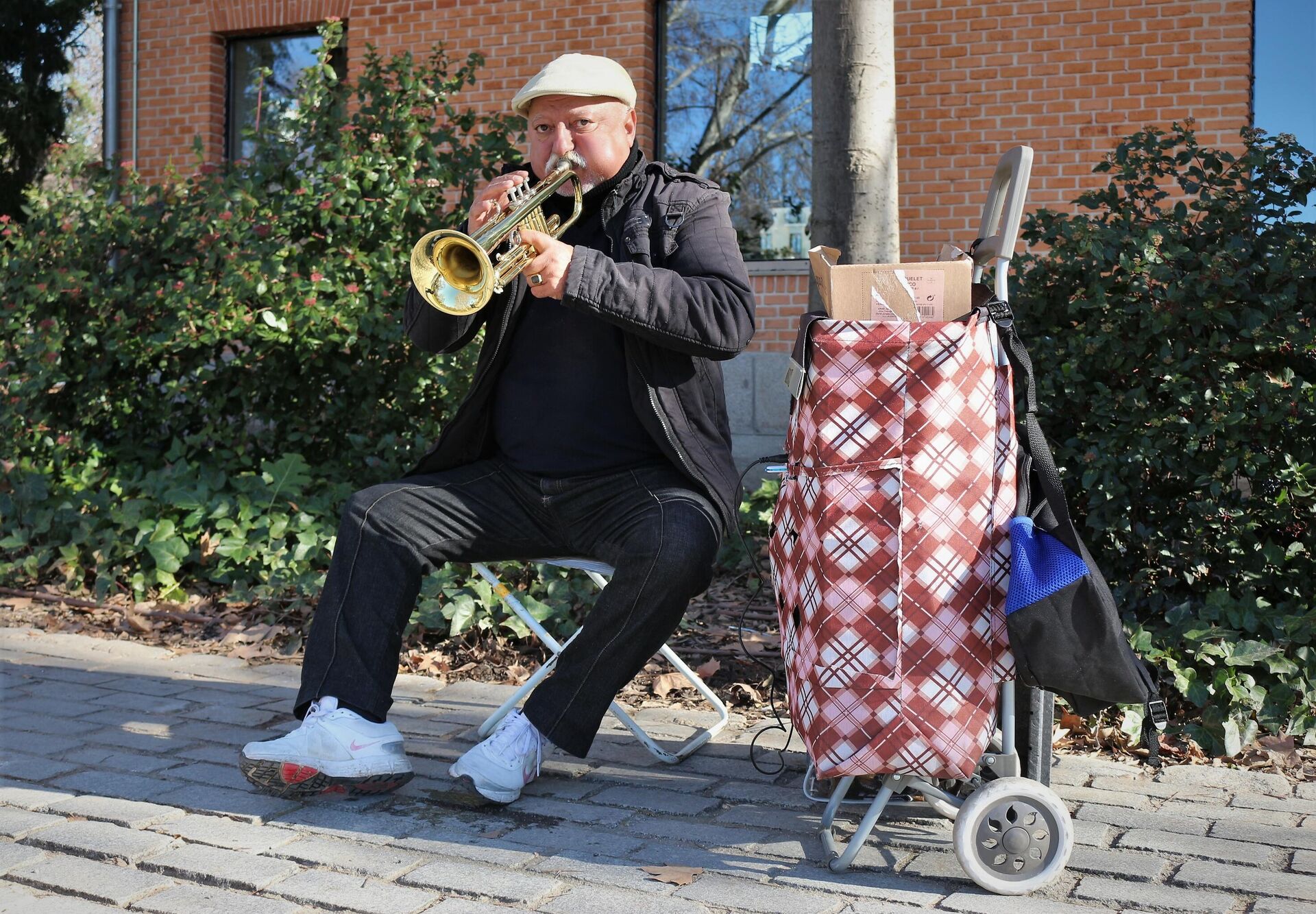 Miguel, trompetista en El Retiro, principal parque de Madrid - Sputnik Mundo, 1920, 14.01.2022