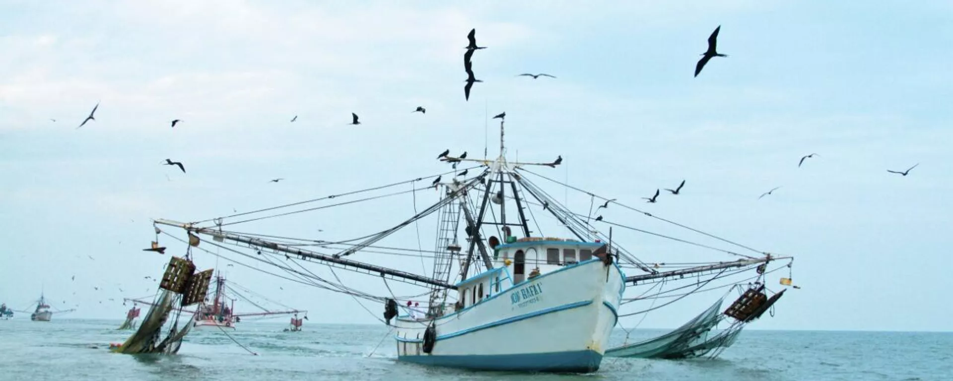 Un barco pesquero mexicano en aguas nacionales Un barco pesquero mexicano en aguas nacionales - Sputnik Mundo, 1920, 14.07.2022