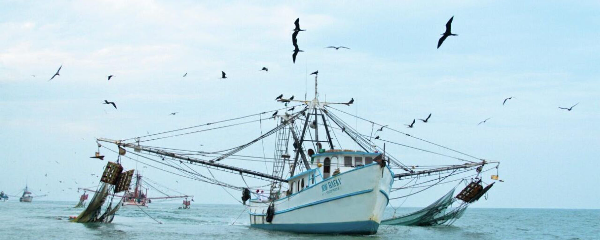 Un barco pesquero mexicano en aguas nacionales - Sputnik Mundo, 1920, 14.07.2022