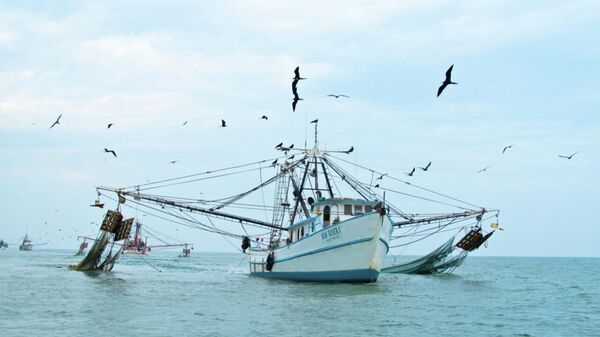 Un barco pesquero mexicano en aguas nacionales - Sputnik Mundo