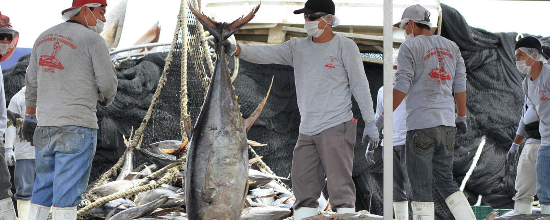 Pescadores mexicanos recogiendo cargas de atún - Sputnik Mundo, 1920, 23.05.2022