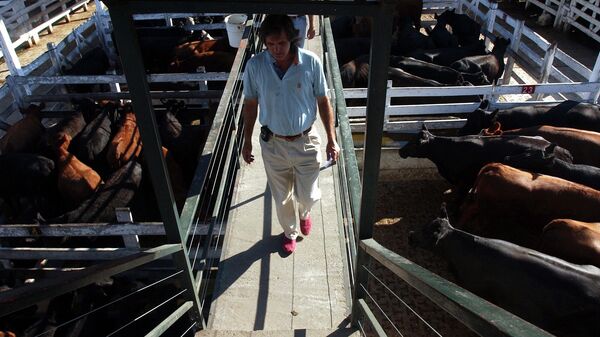 Un hombre camina en el mercado de la carne en Buenos Aires, Argentina - Sputnik Mundo