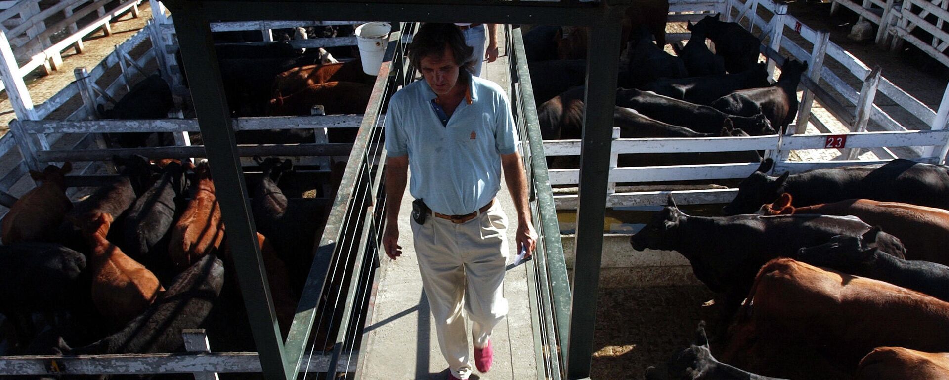 Un hombre camina en el mercado de la carne en Buenos Aires, Argentina Un hombre camina en el mercado de la carne en Buenos Aires, Argentina - Sputnik Mundo, 1920, 17.01.2022