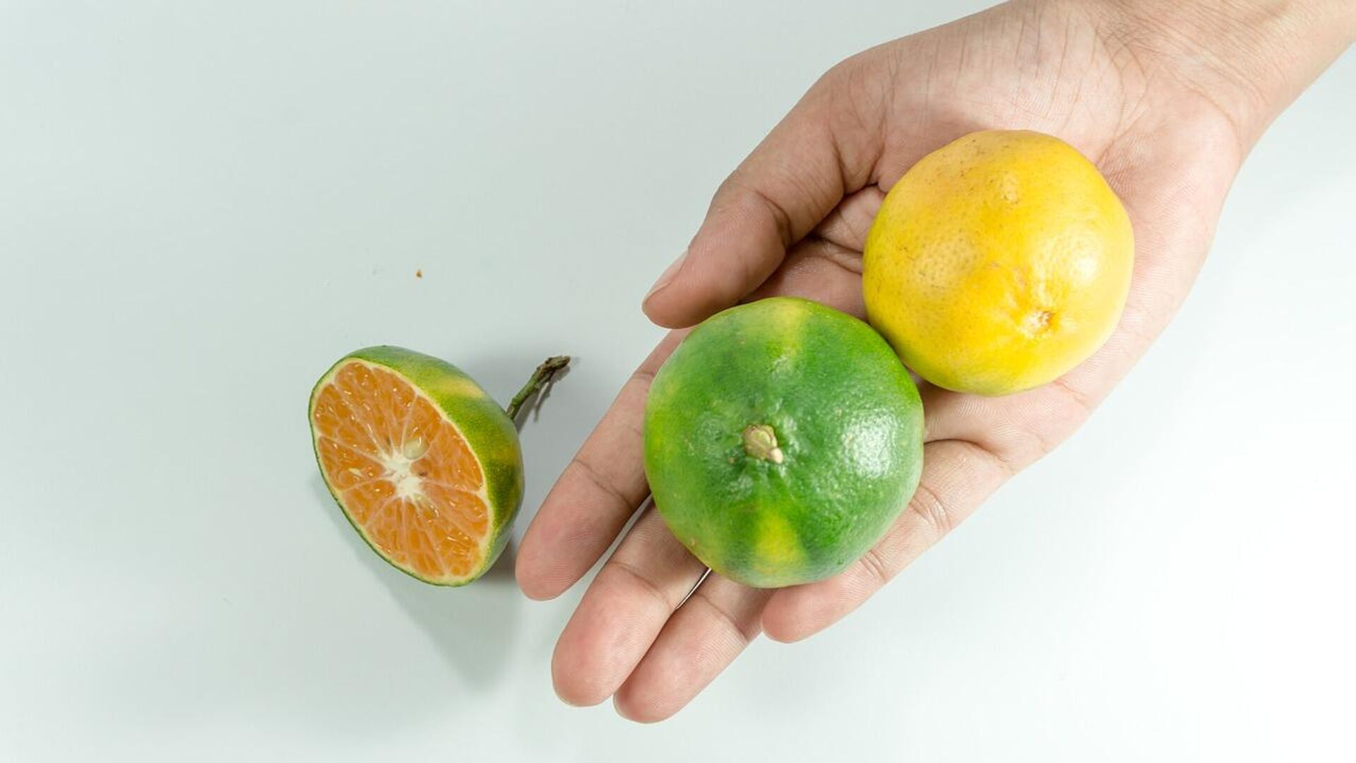 Una naranja verde (imagen referencial) Una naranja verde (imagen referencial) - Sputnik Mundo, 1920, 18.01.2022