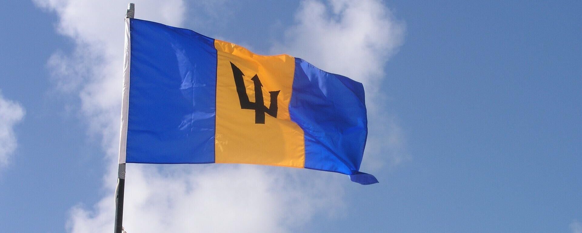 Bandera de Barbados - Sputnik Mundo, 1920, 14.10.2024