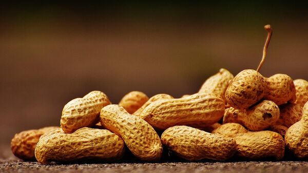 Maní o cacahuete - Sputnik Mundo