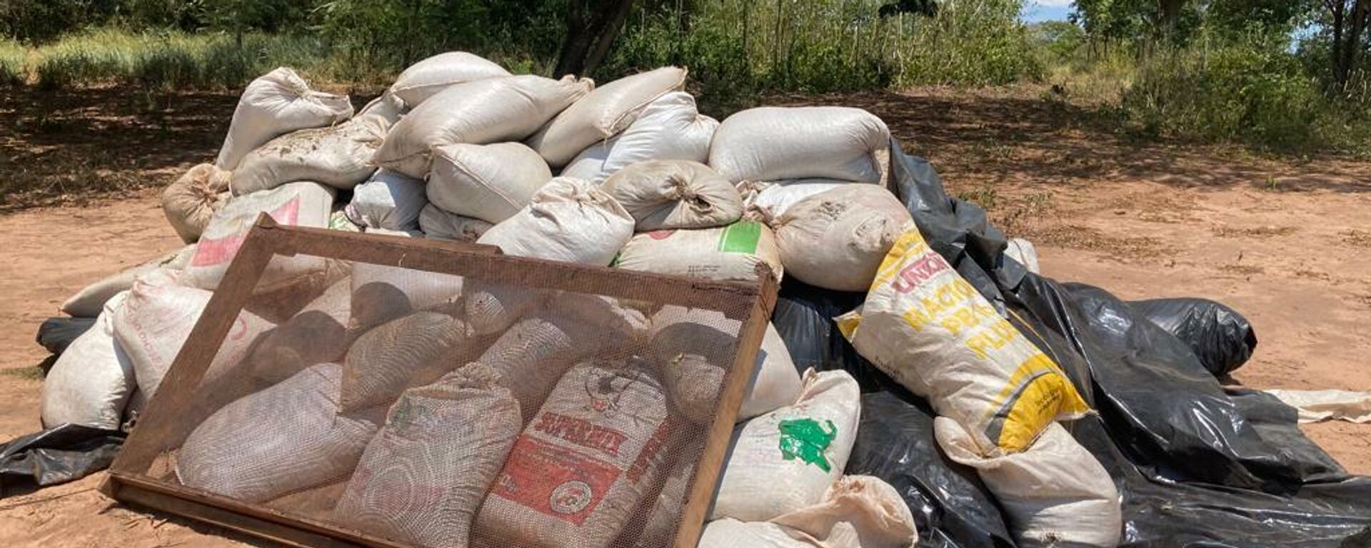 Seis toneladas de marihuana en un centro rural del departamento de Amambay (este), Paraguay - Sputnik Mundo, 1920, 25.01.2022