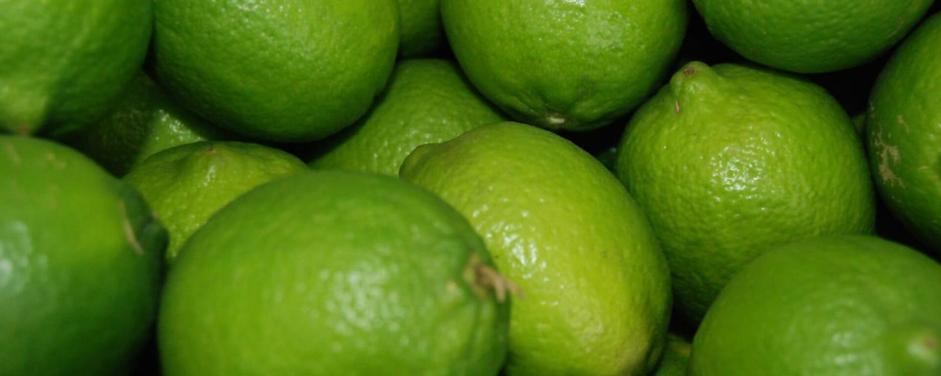 Limón  - Sputnik Mundo, 1920, 25.10.2025