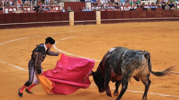 Una corrida de toros en una plaza - Sputnik Mundo