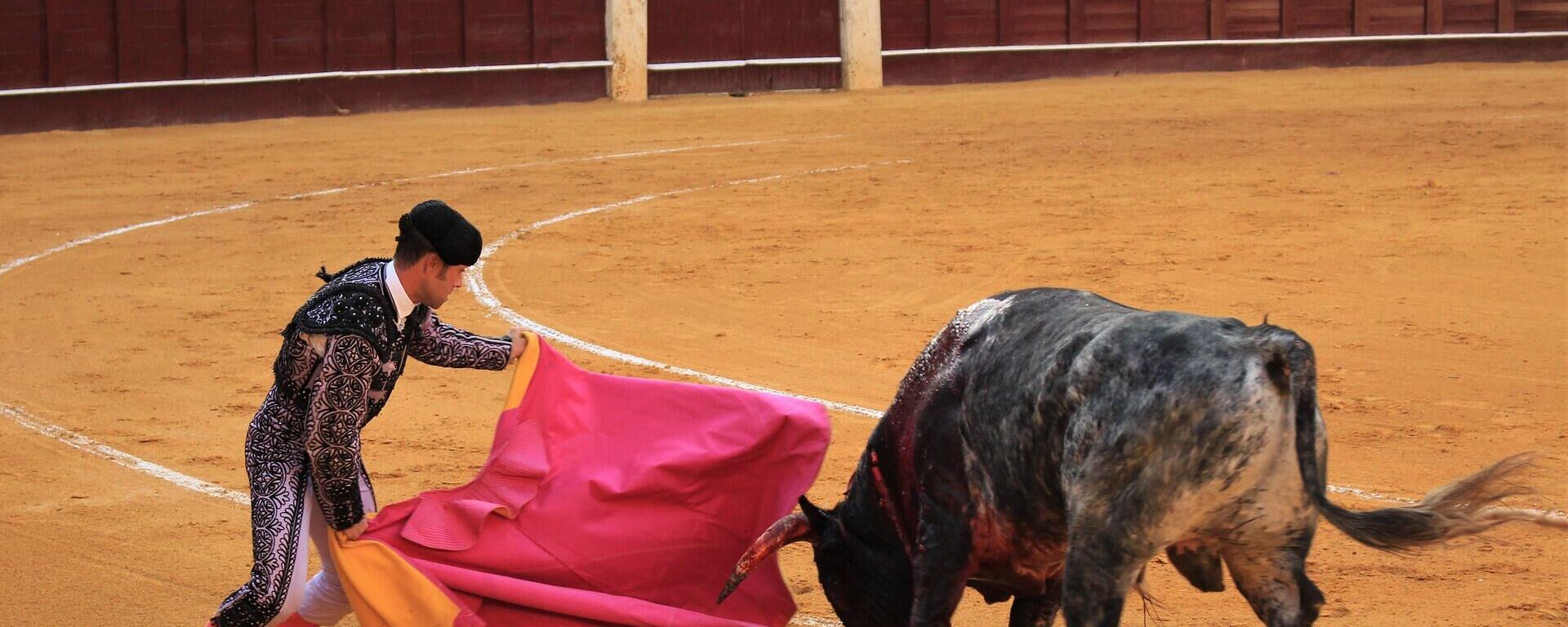 Una corrida de toros en una plaza Una corrida de toros en una plaza - Sputnik Mundo, 1920, 27.05.2022