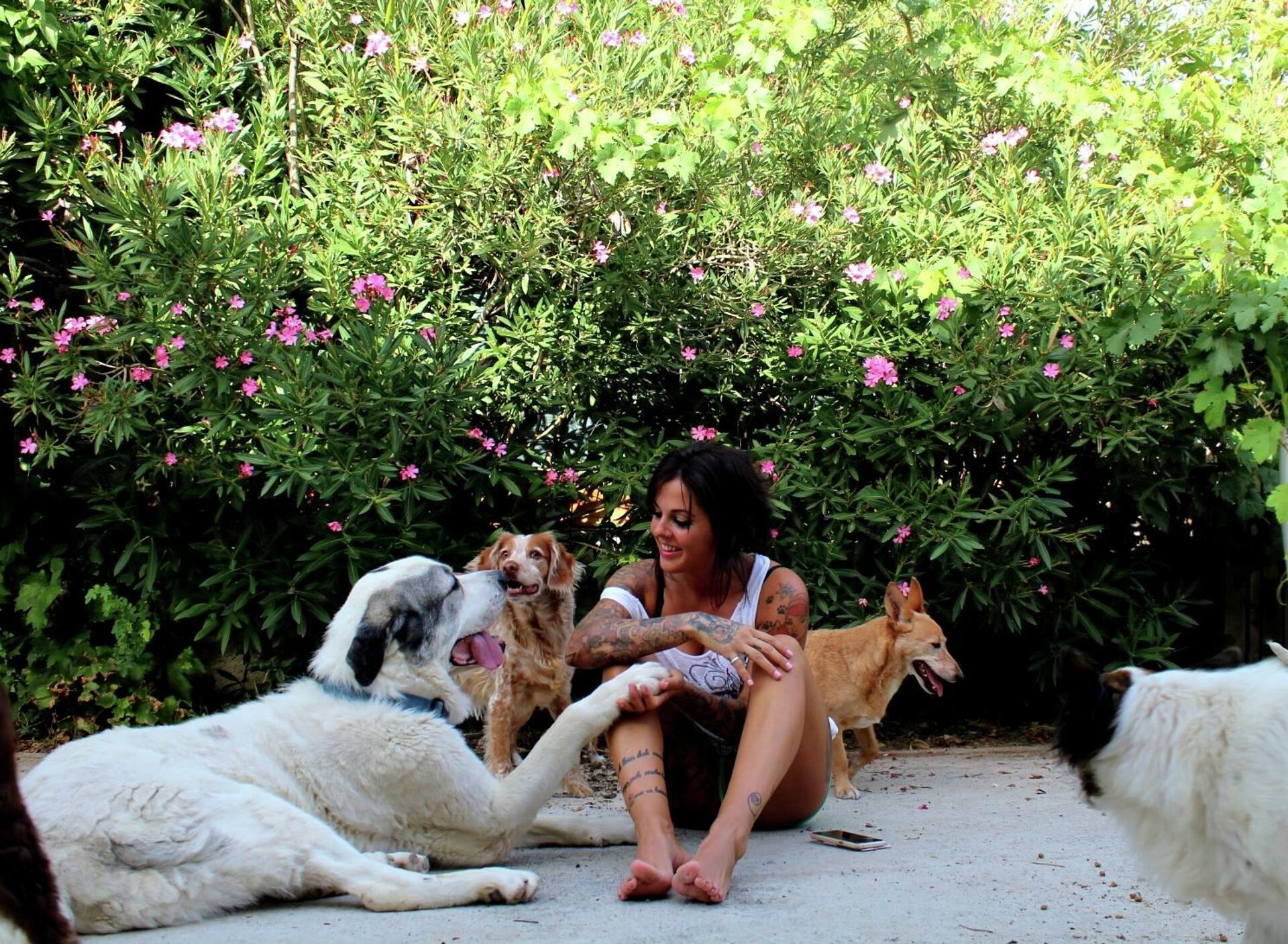 Un día cualquiera en casa de Pepa Tenorio - Sputnik Mundo, 1920, 27.01.2022