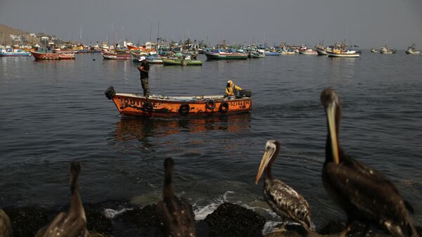 El derrame en Perú - Sputnik Mundo