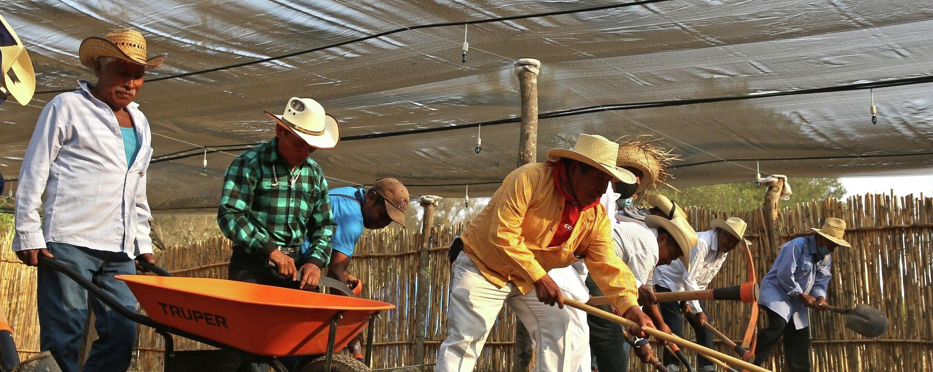 Trabajadores del campo en Guerrero, México. Trabajadores del campo en Guerrero, México. - Sputnik Mundo, 1920, 19.07.2022