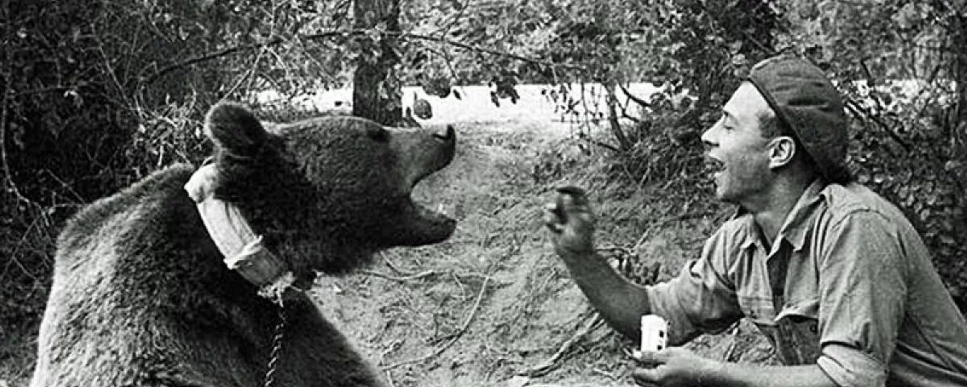 El oso militar del ejército polaco. El oso militar del ejército polaco. - Sputnik Mundo, 1920, 31.01.2022