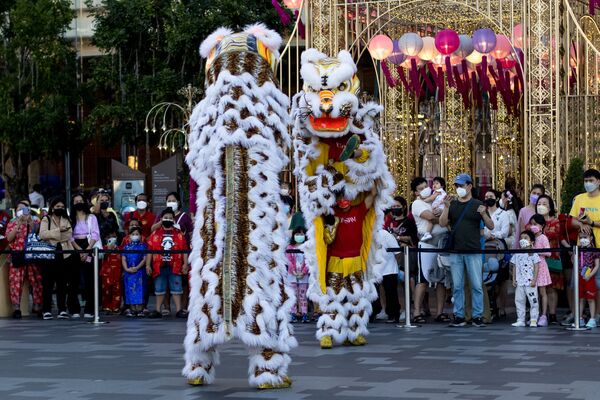 La Danza del León es una ceremonia tradicional oriental que se ejecuta para ahuyentar a los malos espíritus y atraer la buena fortuna. Incluye elementos de las artes marciales orientales. La danza se interpreta en festivales, celebraciones y, por supuesto, en las fiestas del Año Nuevo Oriental.En la foto: la Danza del León en vísperas del Año Nuevo Oriental en Bangkok, Tailandia. - Sputnik Mundo