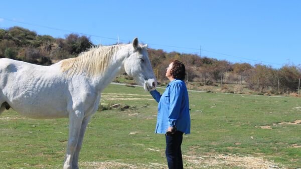 Caballo residente en el Santuario Winston (Herradón de Pinares, Ávila) junto a la presidenta y fundadora del centro, María Dolores Pérez - Sputnik Mundo
