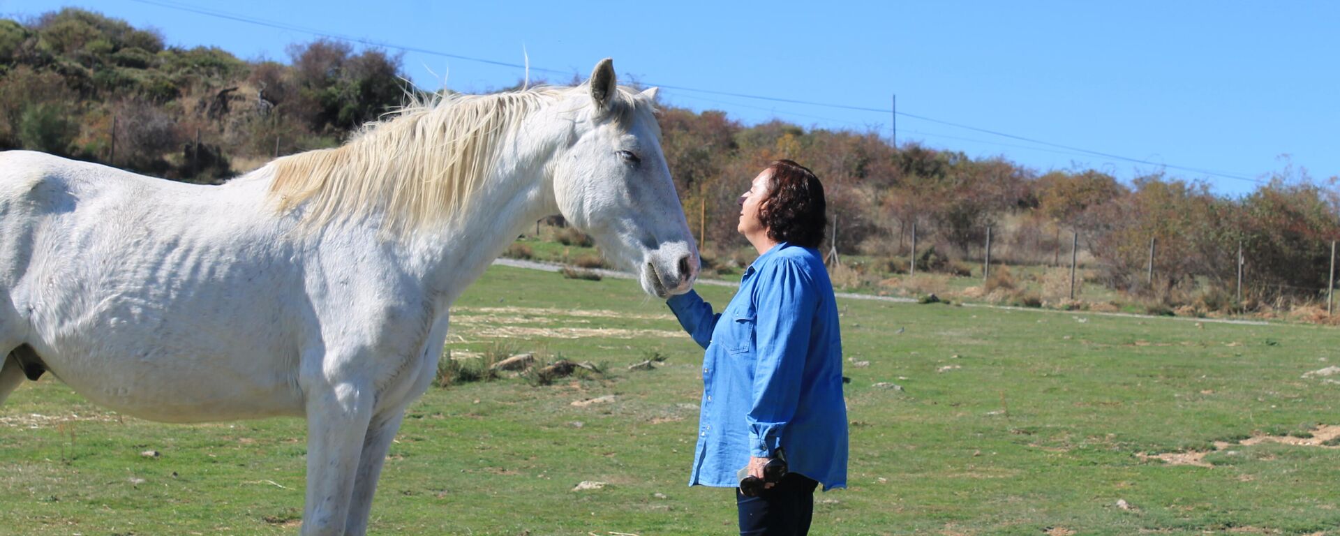 Caballo residente en el Santuario Winston (Herradón de Pinares, Ávila) junto a la presidenta y fundadora del centro, María Dolores Pérez - Sputnik Mundo, 1920, 02.02.2022