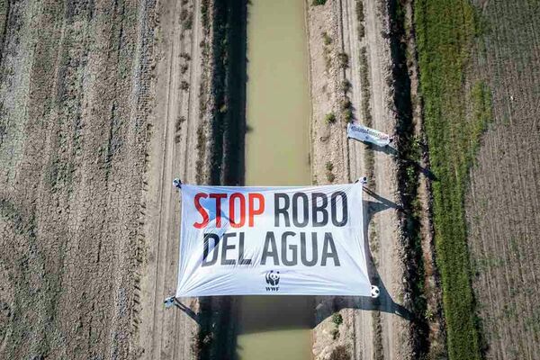 Denuncia del robo de agua - Sputnik Mundo