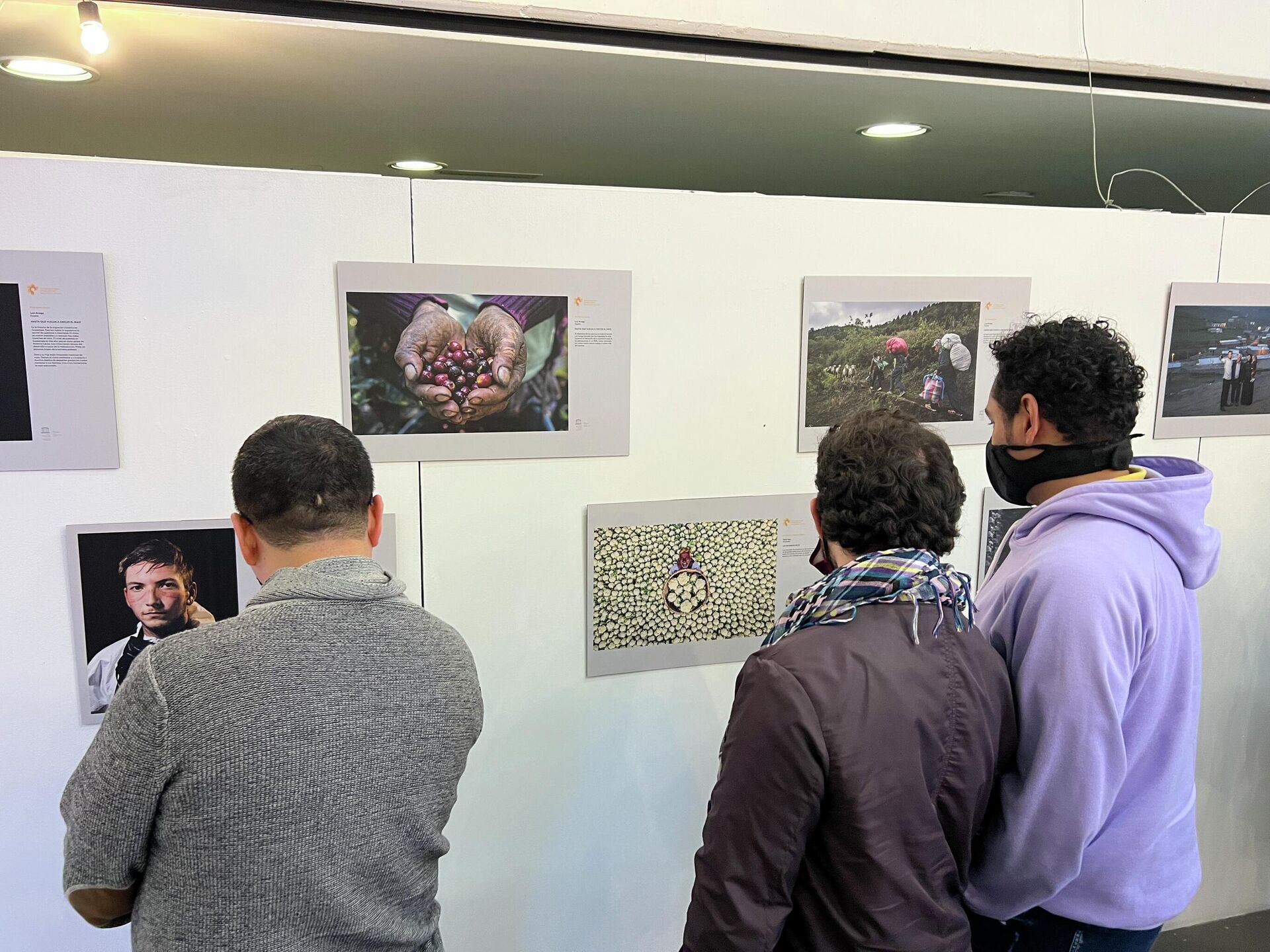 Exposición de fotos ganadoras del concurso Stenin 2021 en Colombia - Sputnik Mundo, 1920, 05.02.2022