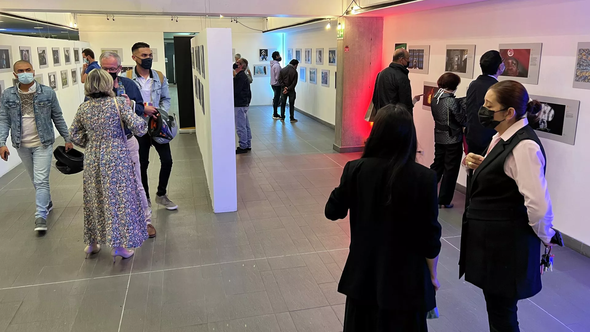 Exposición de fotos ganadoras del concurso Stenin 2021 en Colombia