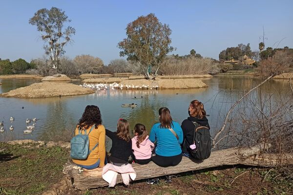 Humedal de Cañada de los Pájaros en el Parque Nacional de Doñana - Sputnik Mundo