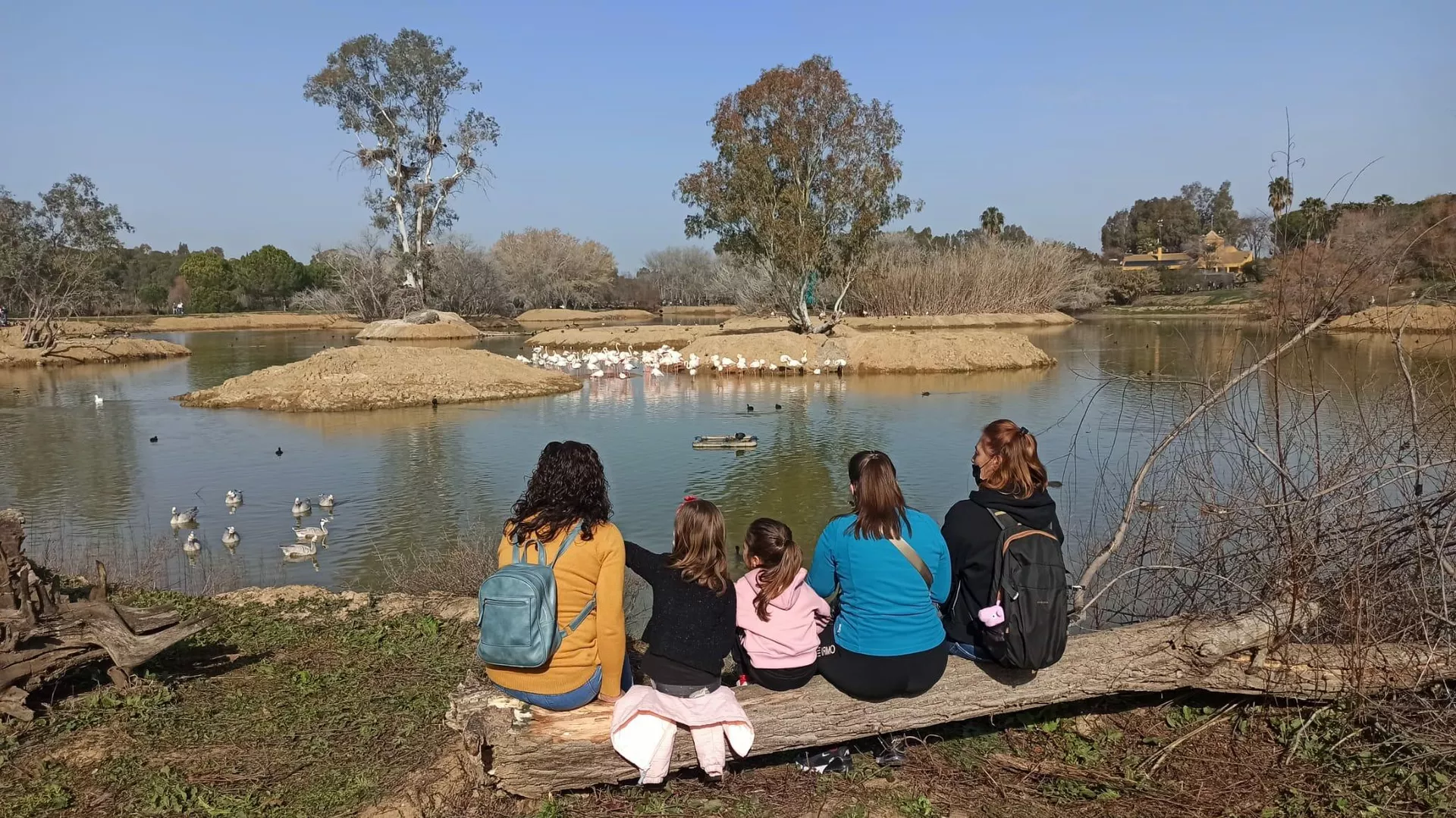Humedal de Cañada de los Pájaros en el Parque Nacional de Doñana