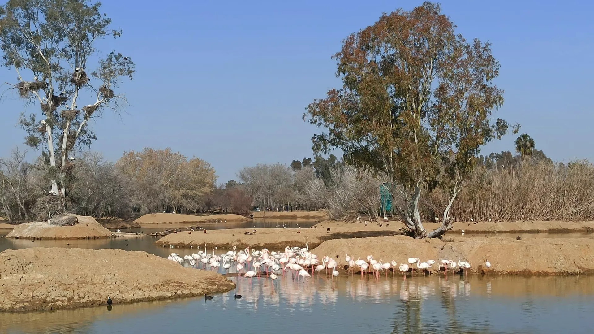 Humedal de Cañada de los Pájaros en el Parque Nacional de Doñana
