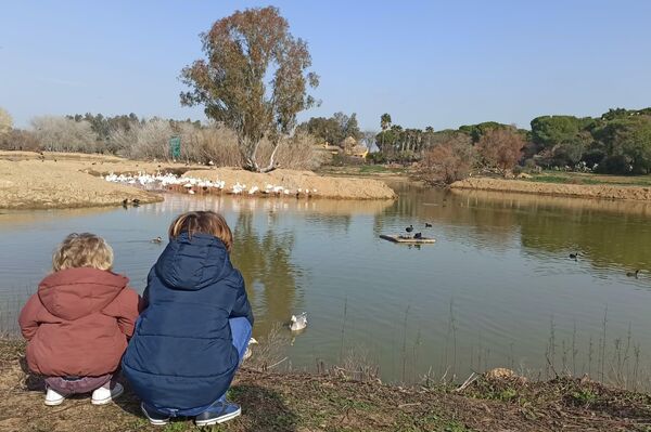 Humedal de Cañada de los Pájaros en el Parque Nacional de Doñana - Sputnik Mundo