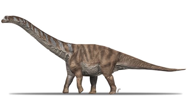 'Abditosaurus kuehnei' - Sputnik Mundo