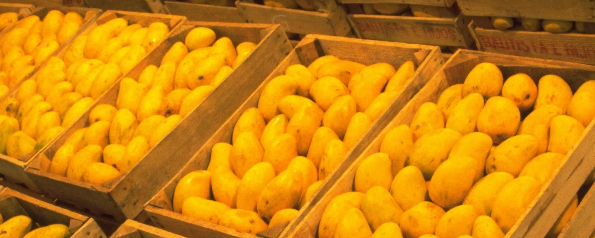 Mango Mango - Sputnik Mundo, 1920, 09.02.2022