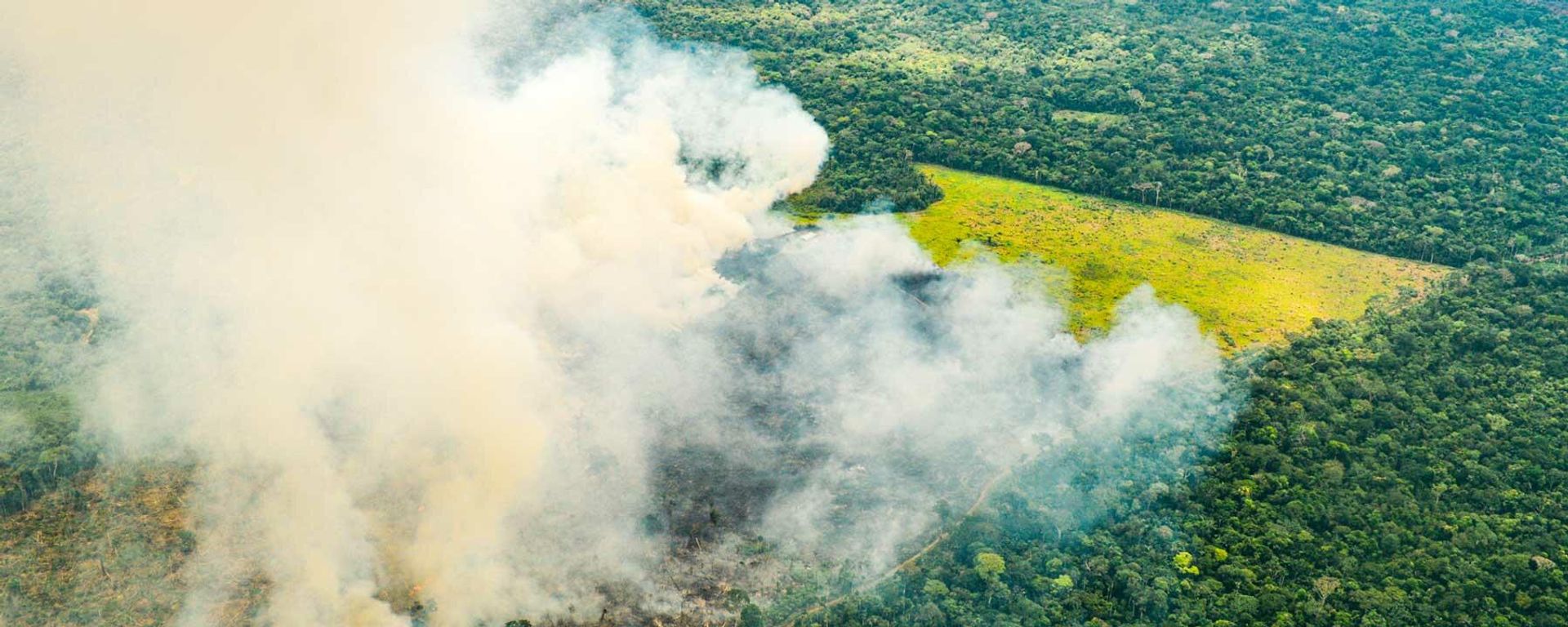 El Ministerio de Ambiente habla de 15.000 hectáreas de bosques perdidas por el fuego El Ministerio de Ambiente habla de 15.000 hectáreas de bosques perdidas por el fuego - Sputnik Mundo, 1920, 10.02.2022