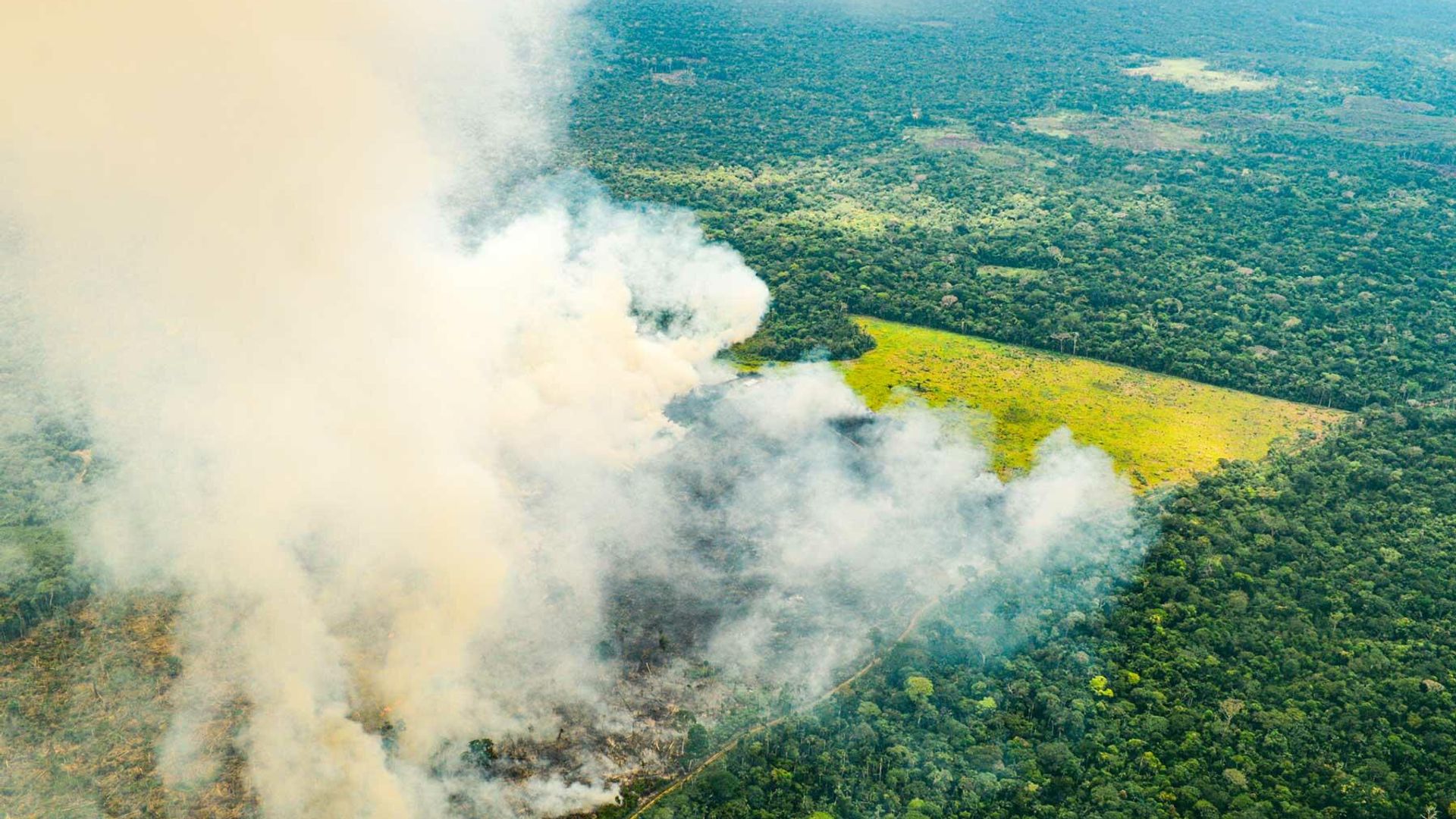 El Ministerio de Ambiente habla de 15.000 hectáreas de bosques perdidas por el fuego El Ministerio de Ambiente habla de 15.000 hectáreas de bosques perdidas por el fuego - Sputnik Mundo, 1920, 10.02.2022