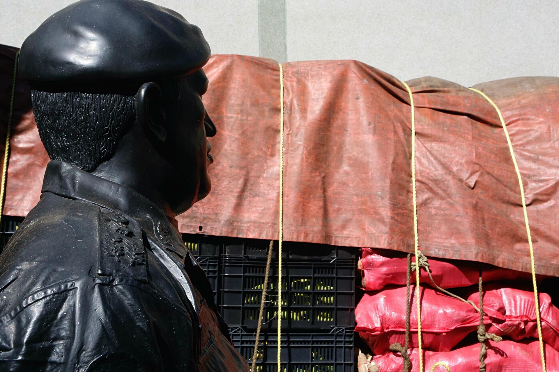 Busto de Hugo Chávez en centro de acopio del Plan Pueblo a Pueblo - Sputnik Mundo, 1920, 11.02.2022