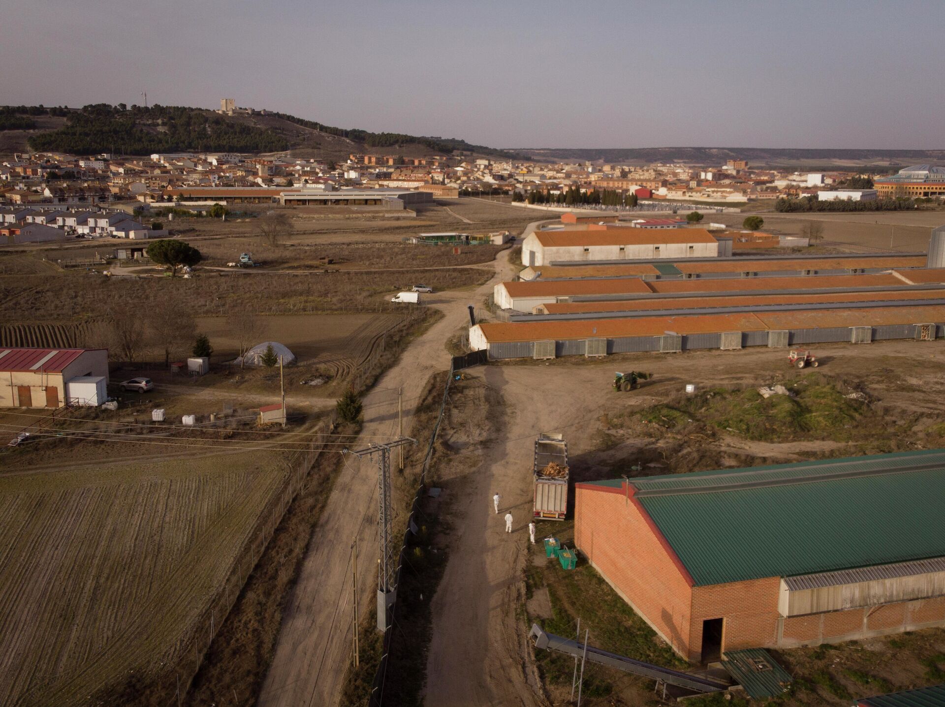 Vista panorámica de la macrogranja donde fueron sacrificadas 130.000 gallinas por un brote de gripe aviar Vista panorámica de la macrogranja donde fueron sacrificadas 130.000 gallinas por un brote de gripe aviar - Sputnik Mundo, 1920, 11.02.2022